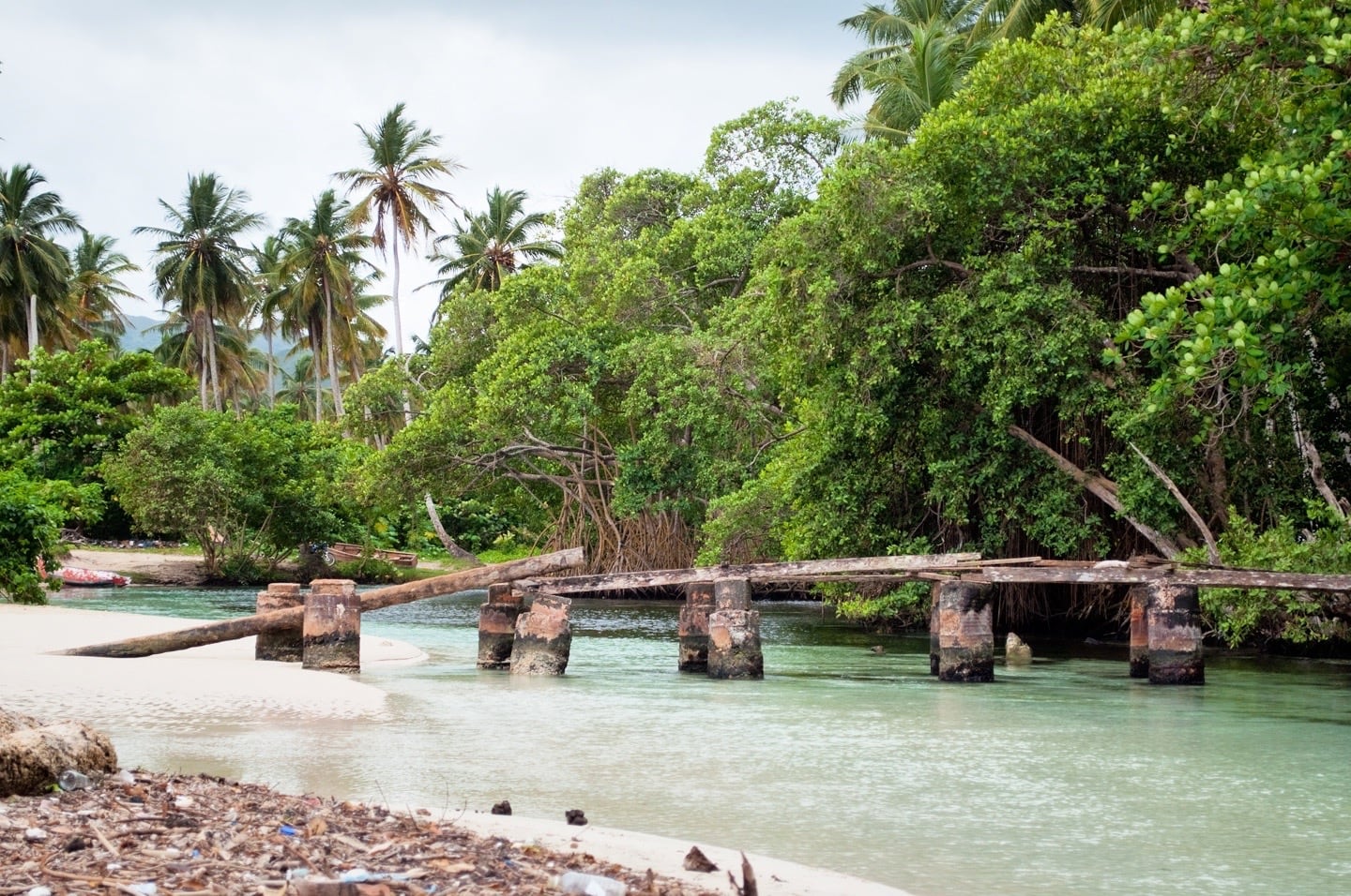 makeshift bridge over stream