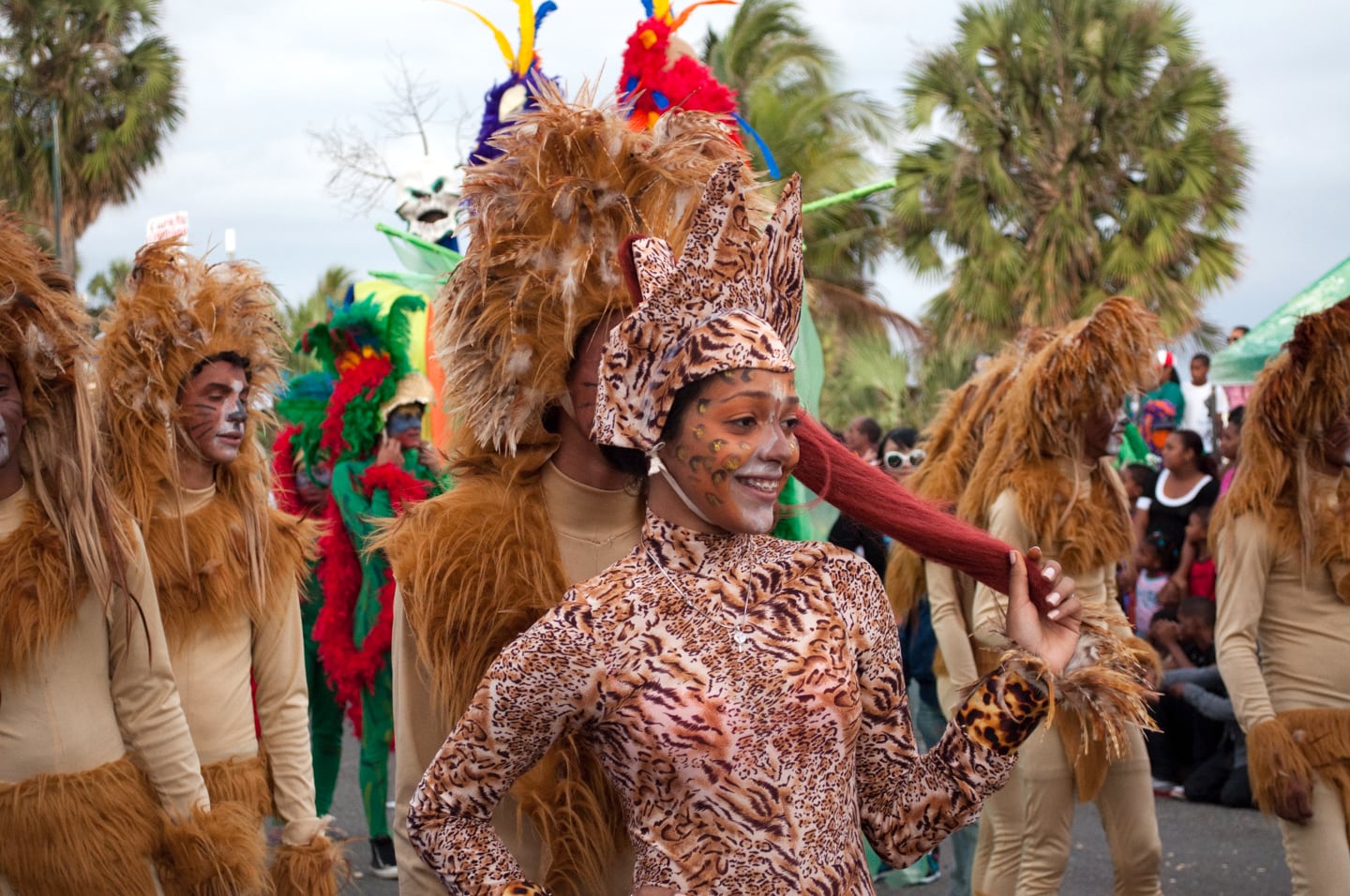 Santo Domingo Dominican Republic Carnival