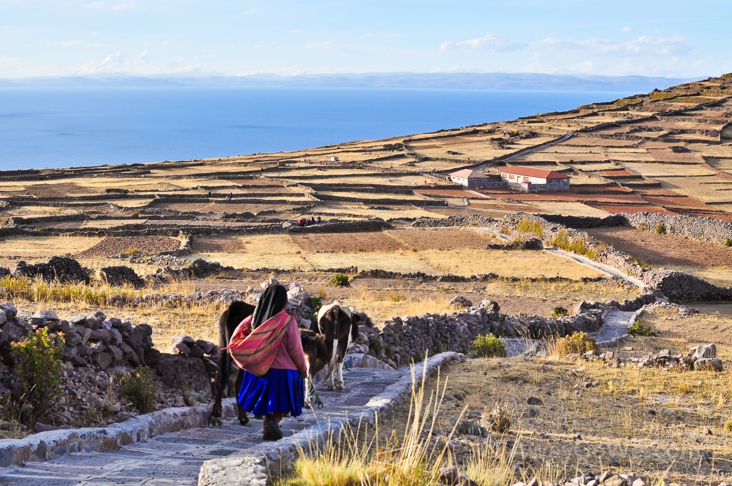 Isla Amantani Lake Titicaca Peru