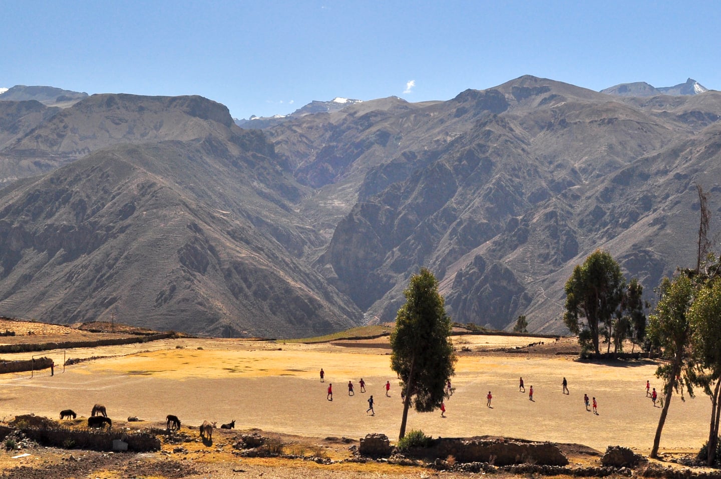 Trekking Colca Canyon Peru