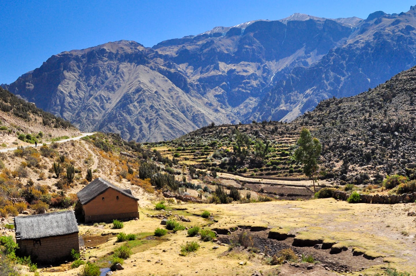 outside of Cabanaconde, Peru