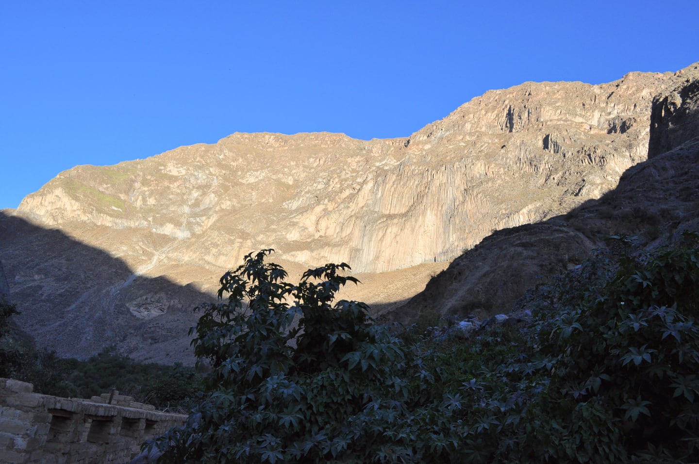 Trekking Colca Canyon Peru