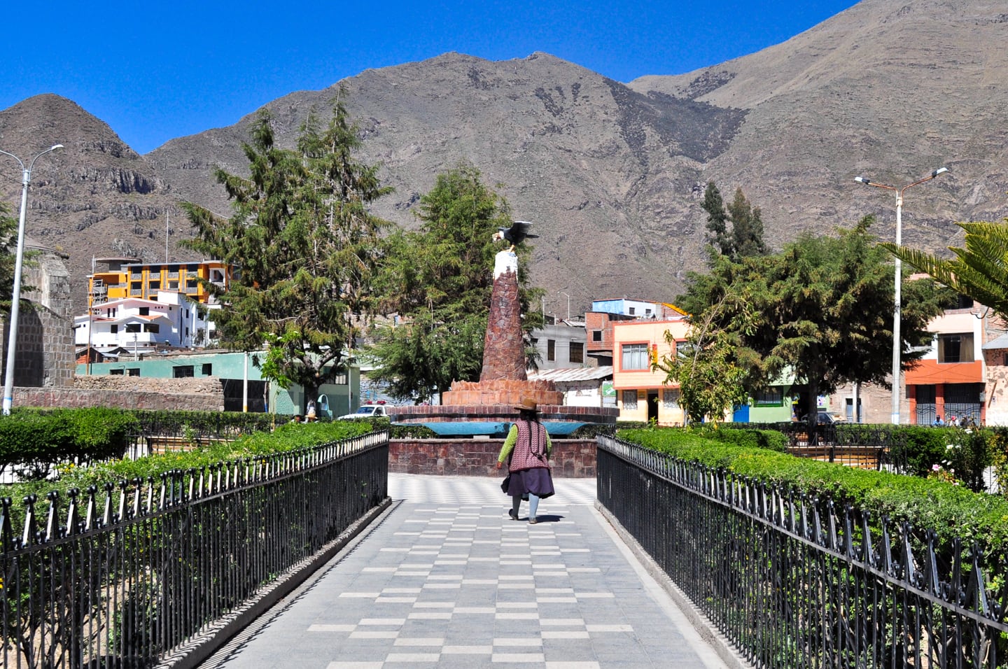 Trekking Colca Canyon Peru