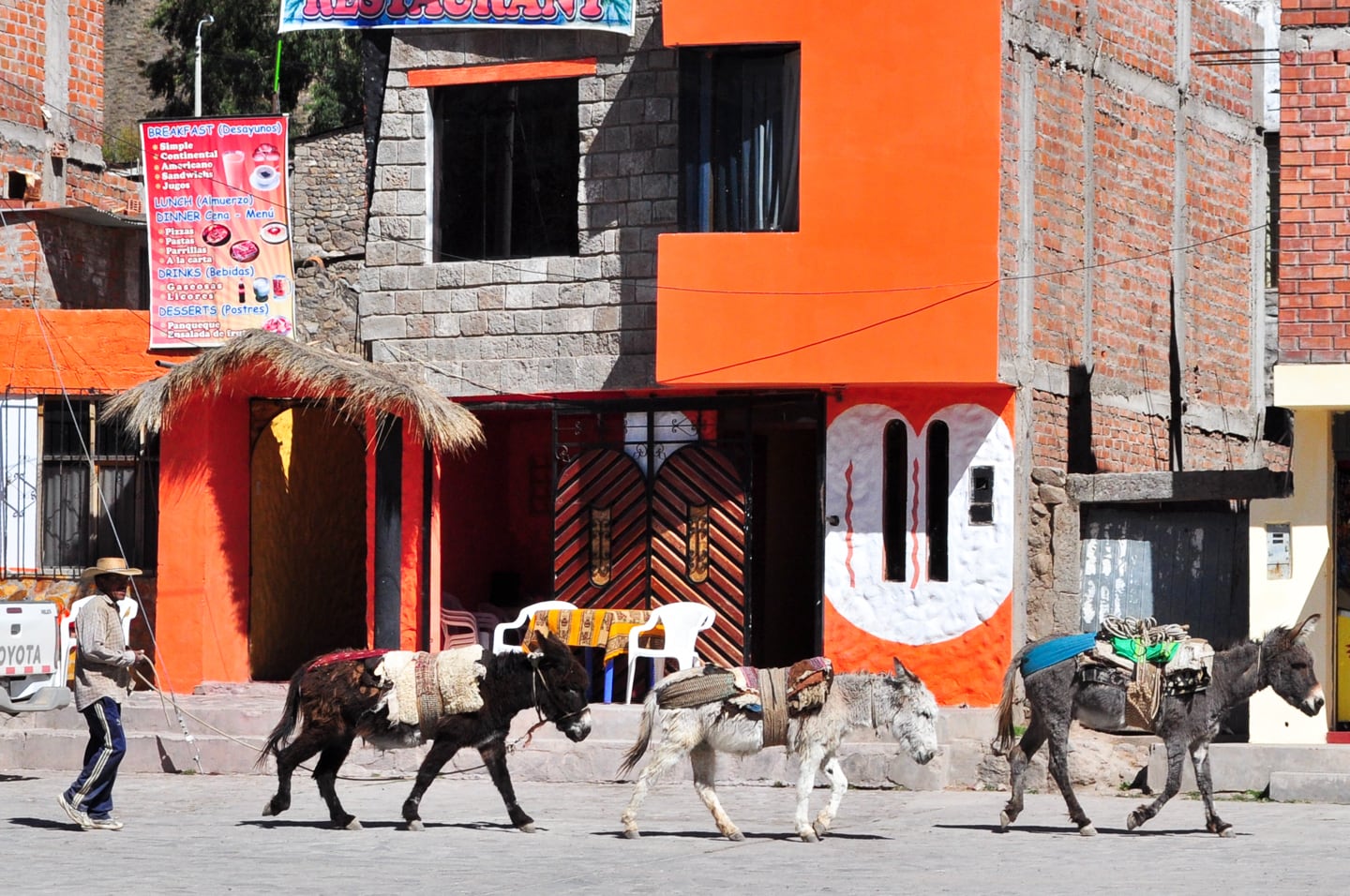 mules walk through the center of Cabanaconde