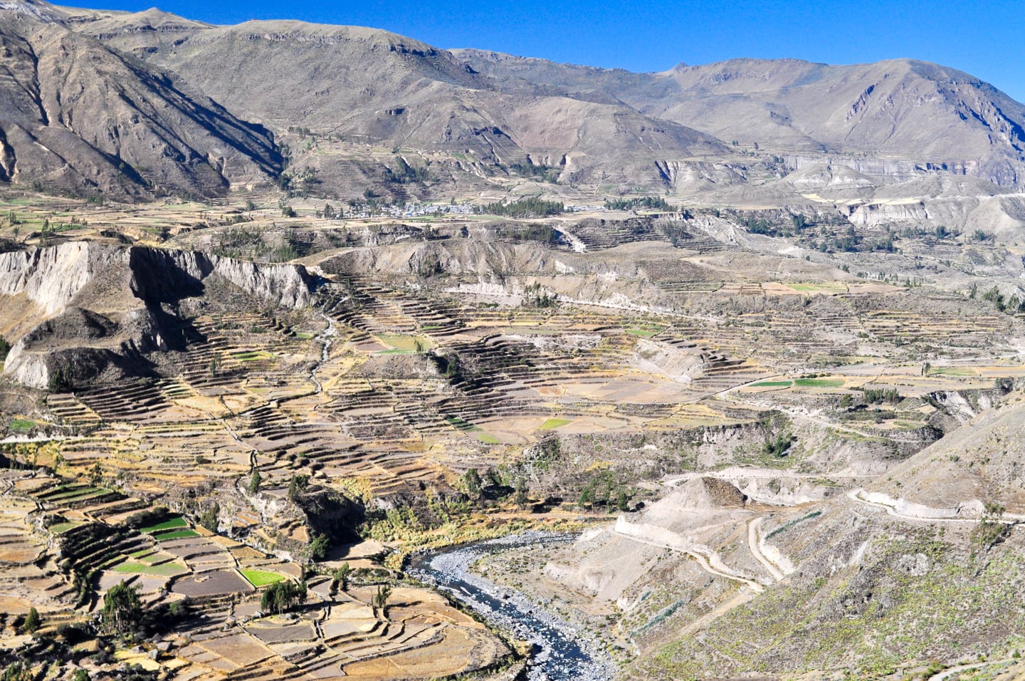 Colca Canyon Trek in Peru