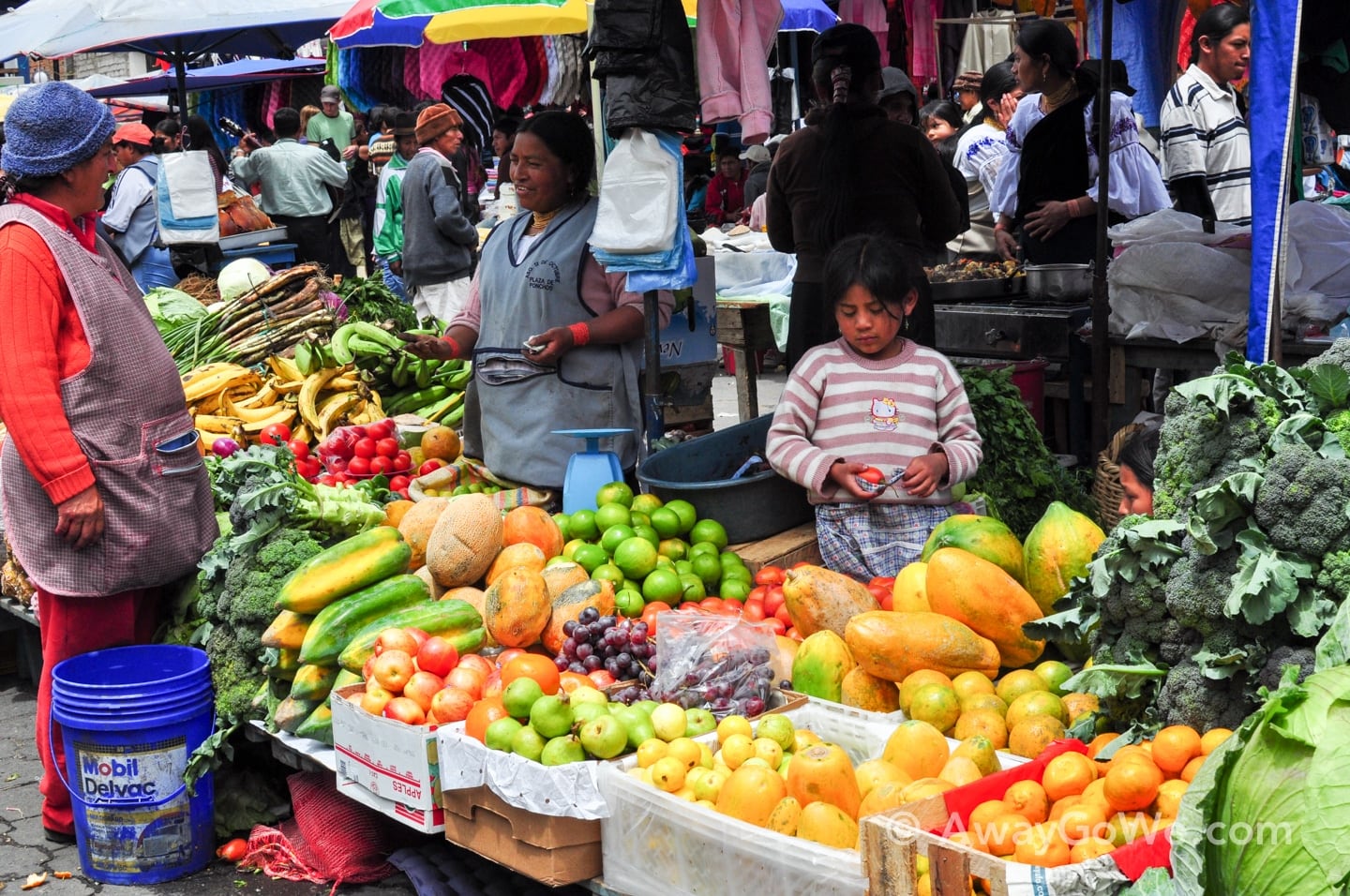 colorful produce