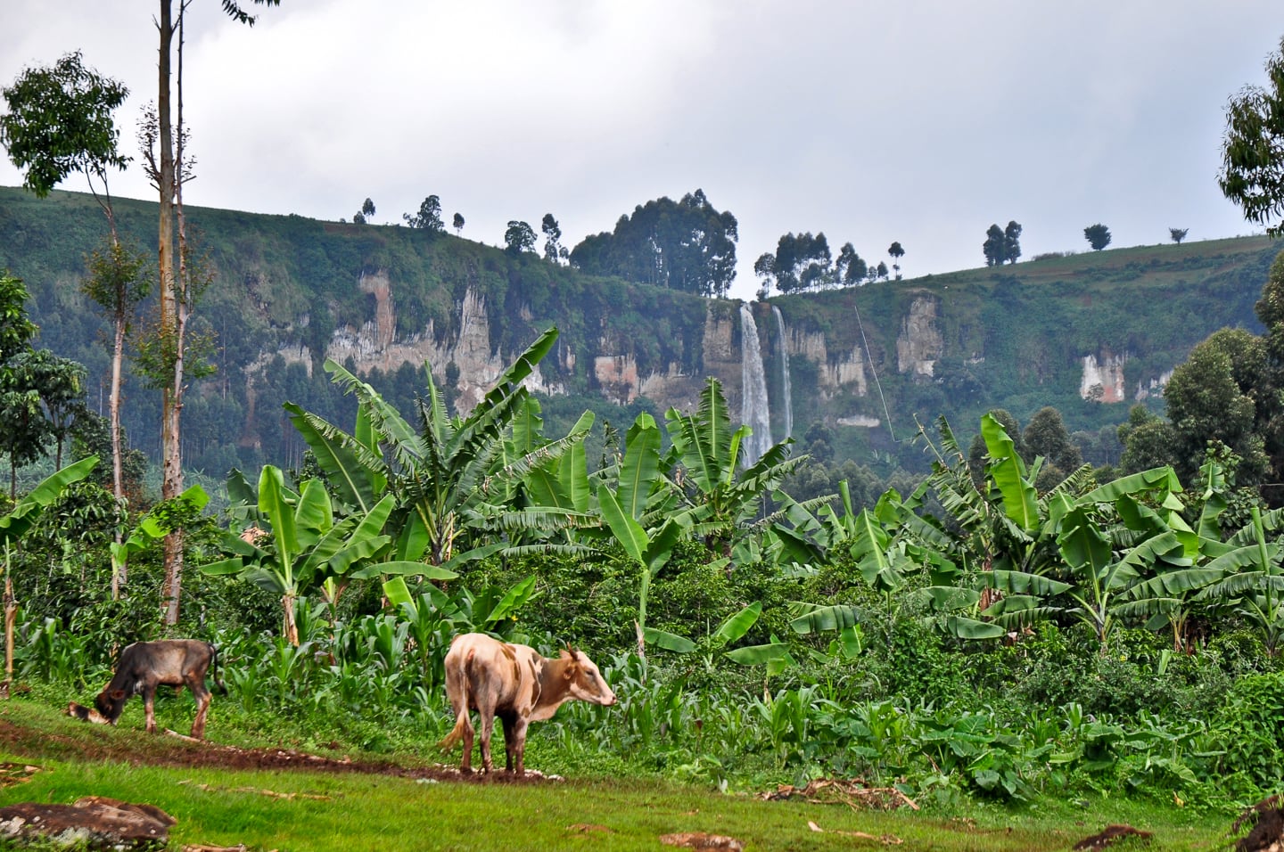 upper sipi falls uganda