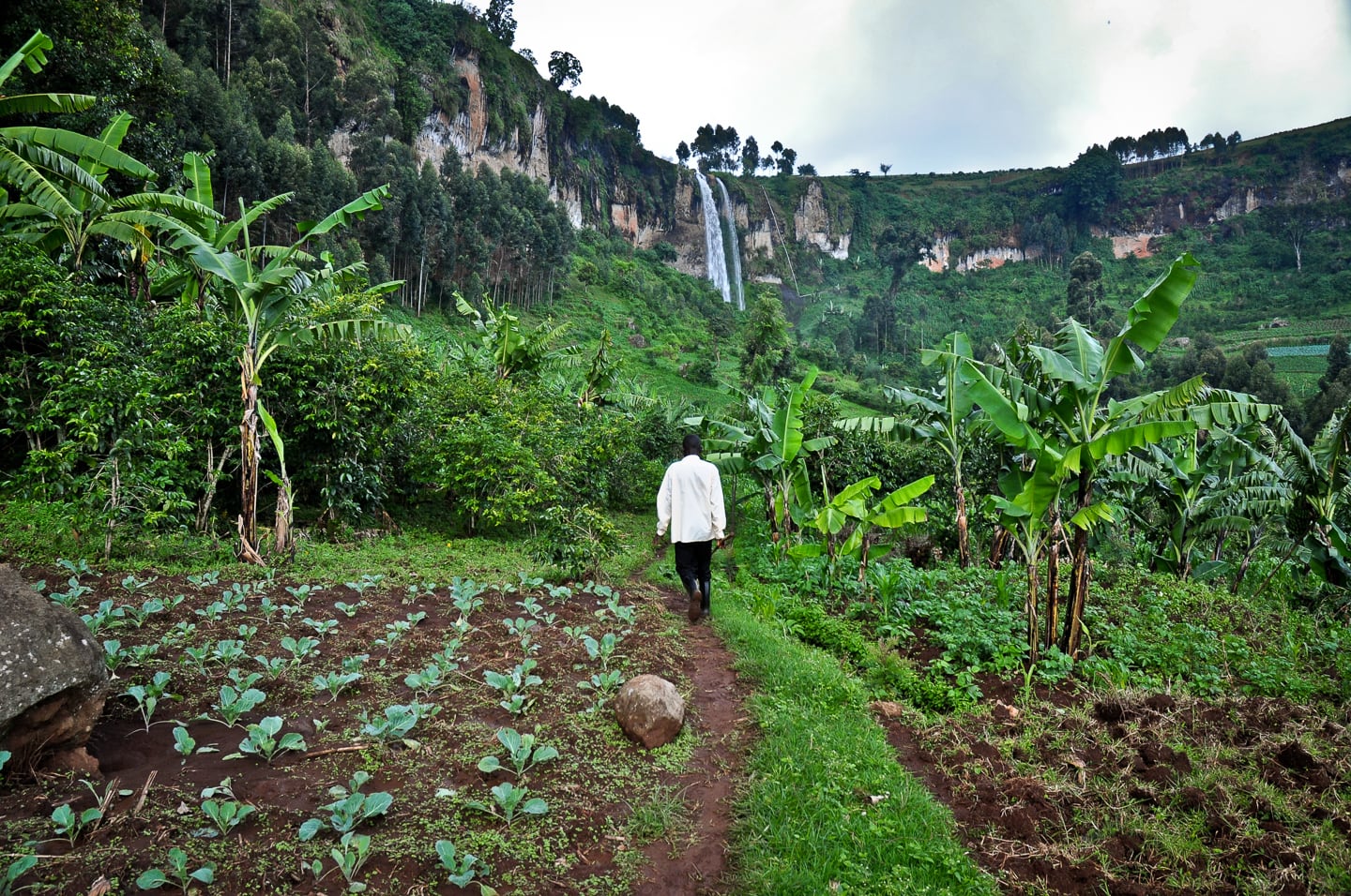 upper sipi falls uganda