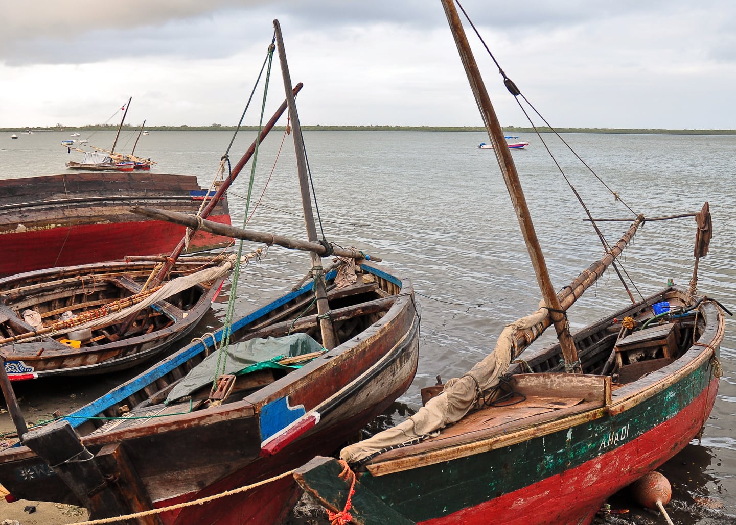 Swahili dhows Lamu harbor
