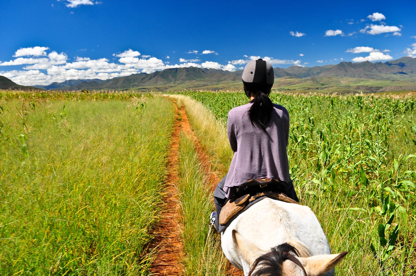 pony trekking Malealea Lodge Lesotho