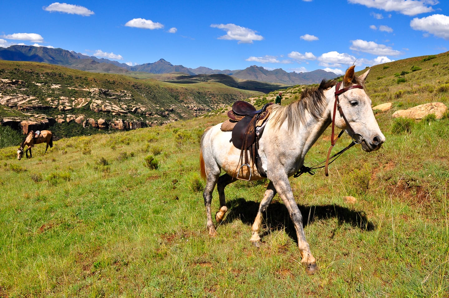 pony trekking Lesotho Malealea Lodge