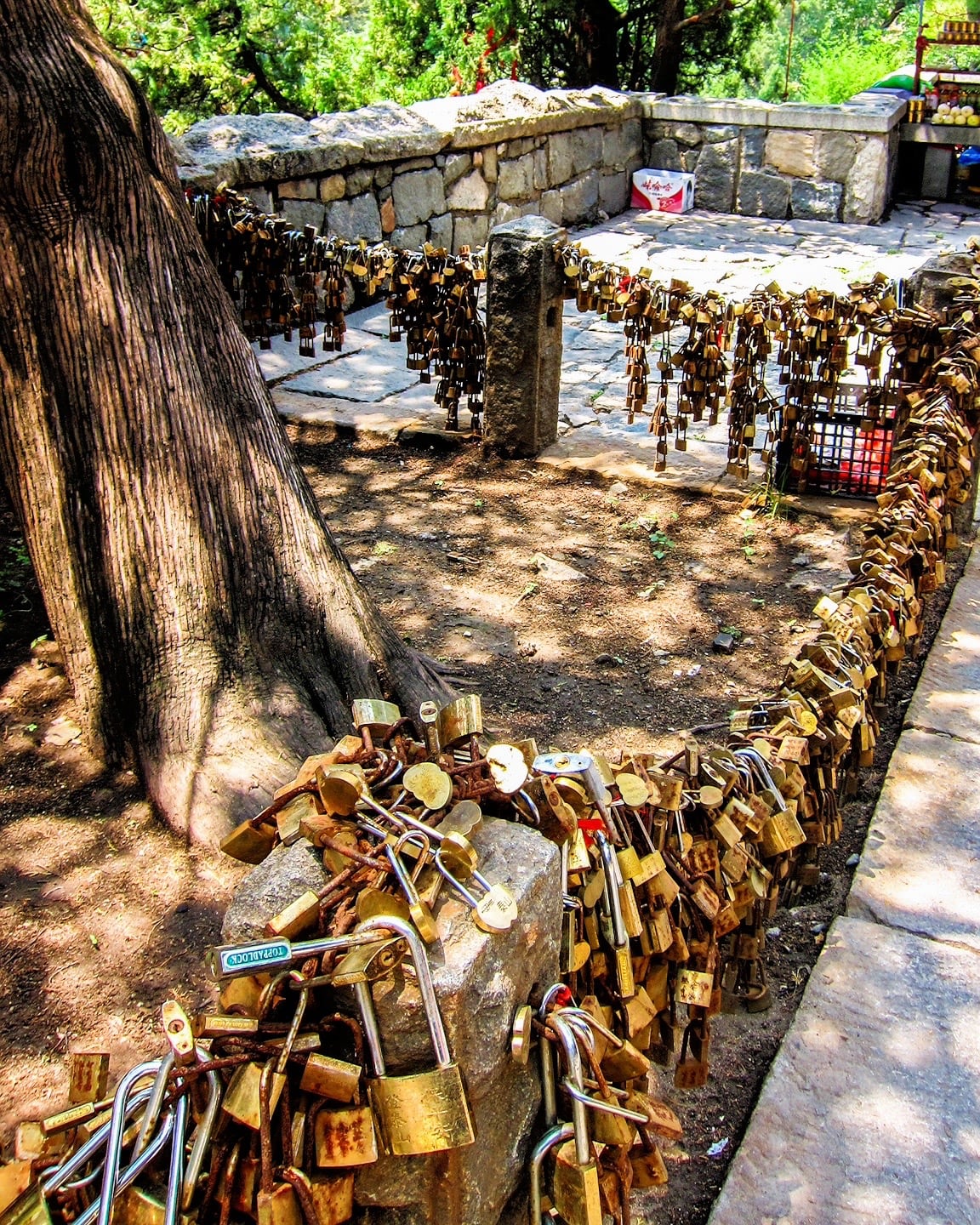 hundreds of brass locks locked on a fence