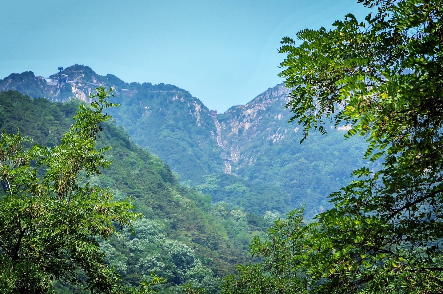 Stairs of Mount Tai and trees