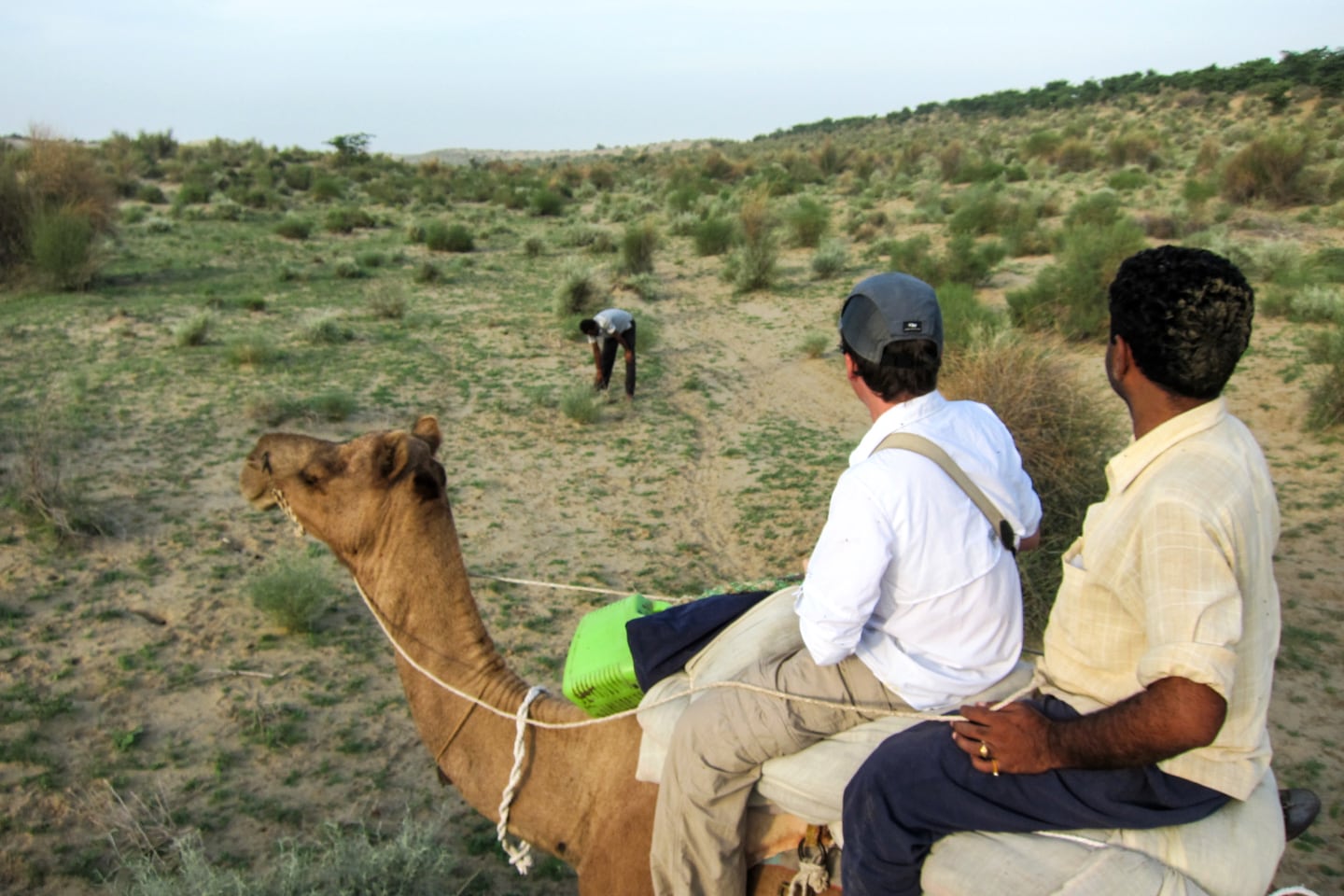 men on camel in the desert