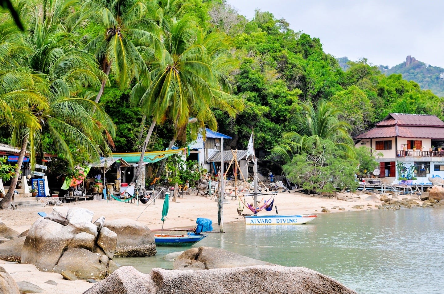 palm fringed beach Chalok Baan Kao Beach Koh Tao Thailand