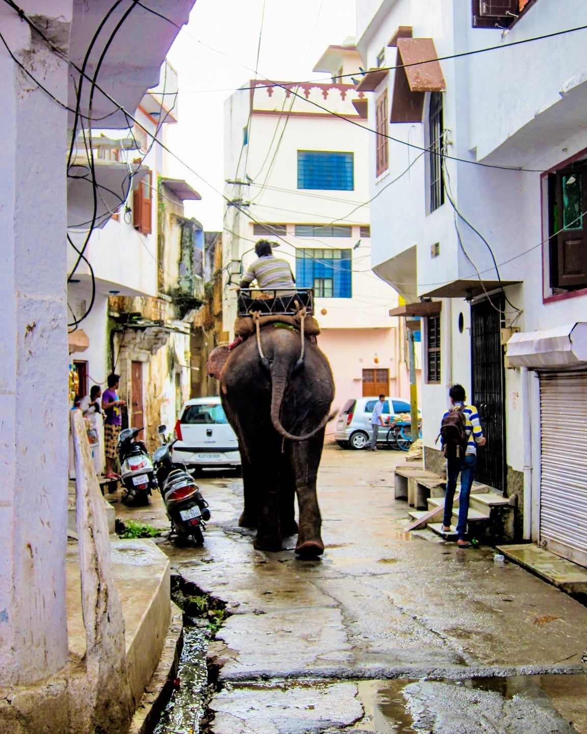 places to visit in Udaipur in 3 days elephant traffic