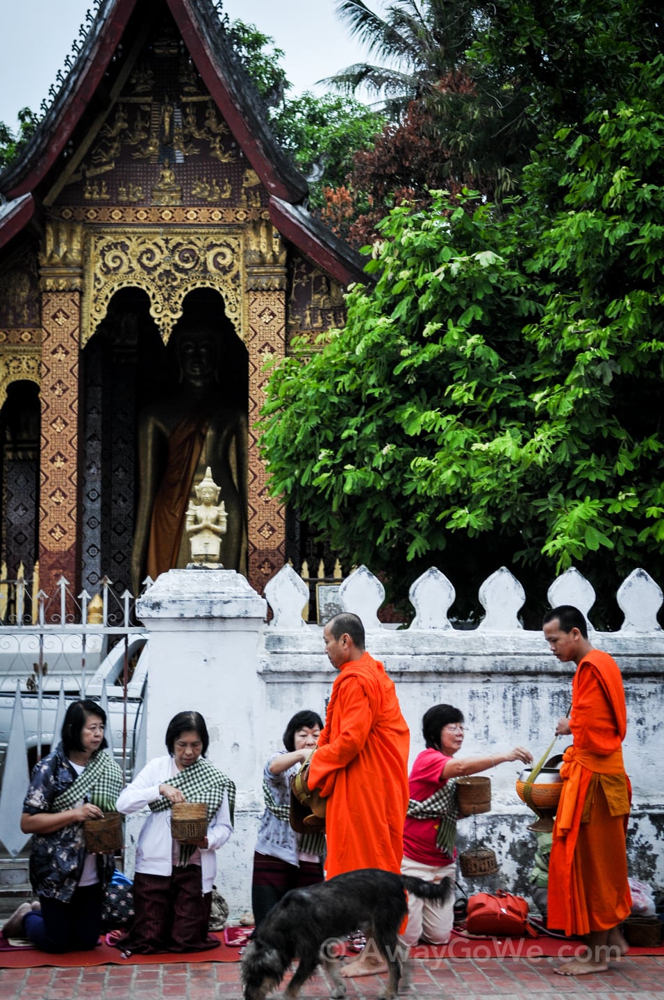 Tak Bat Luang Prabang