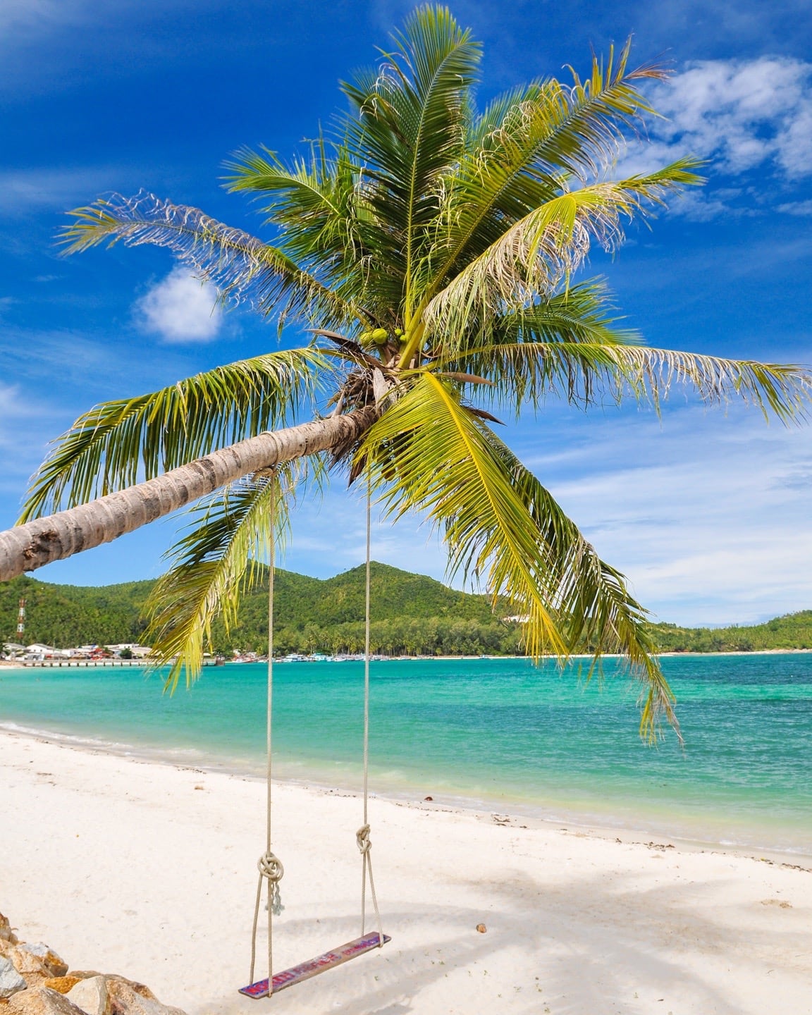 palm tree swing in Chaloklum Beach Koh Phangan Thailand