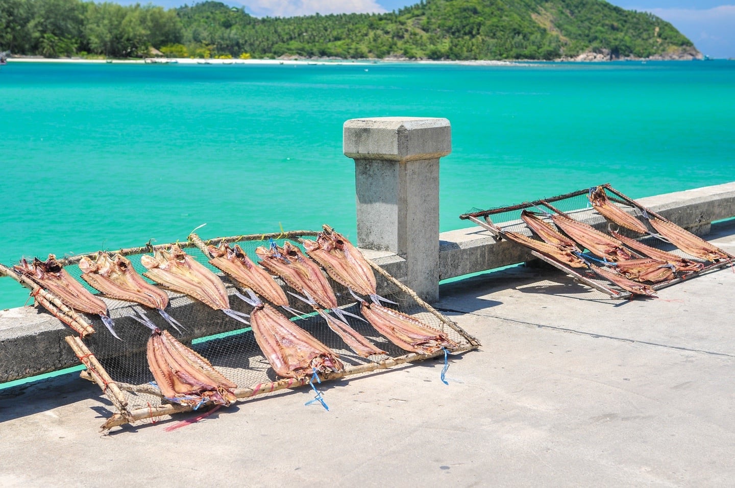 dried fish on dock