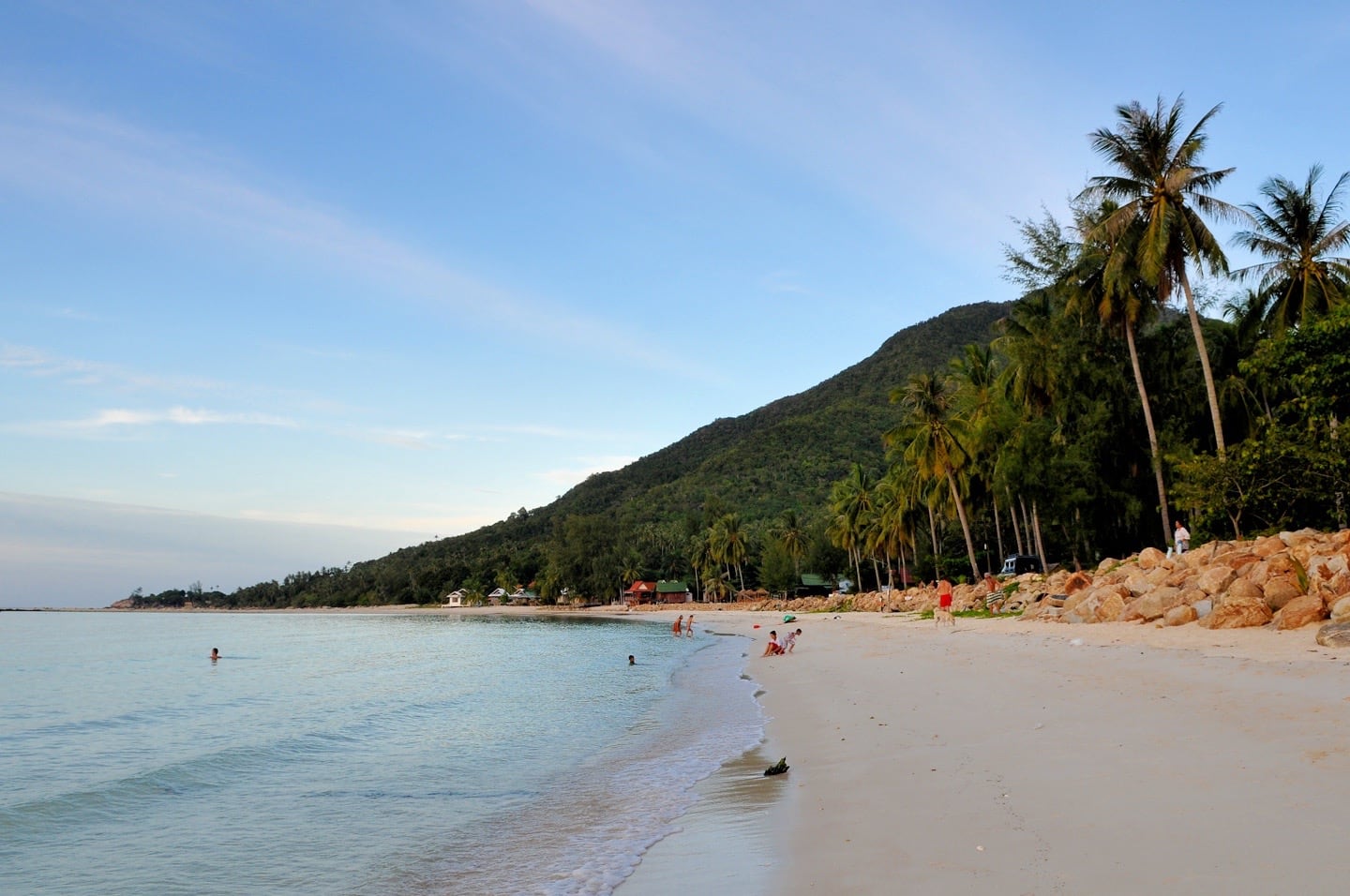 palm fringed beach in Chaloklum Beach Koh Phangan Thailand