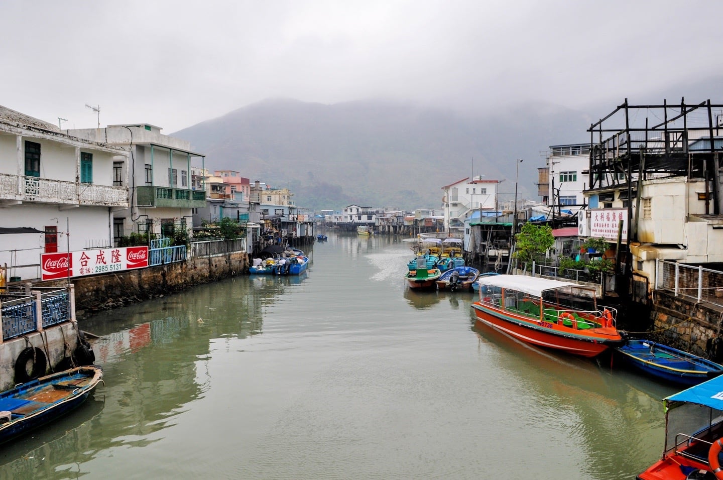 what to do in tai o fishing village
