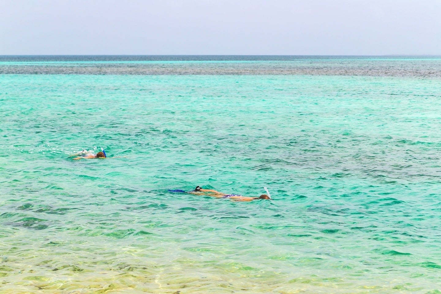 snorkeling on Tobacco Caye