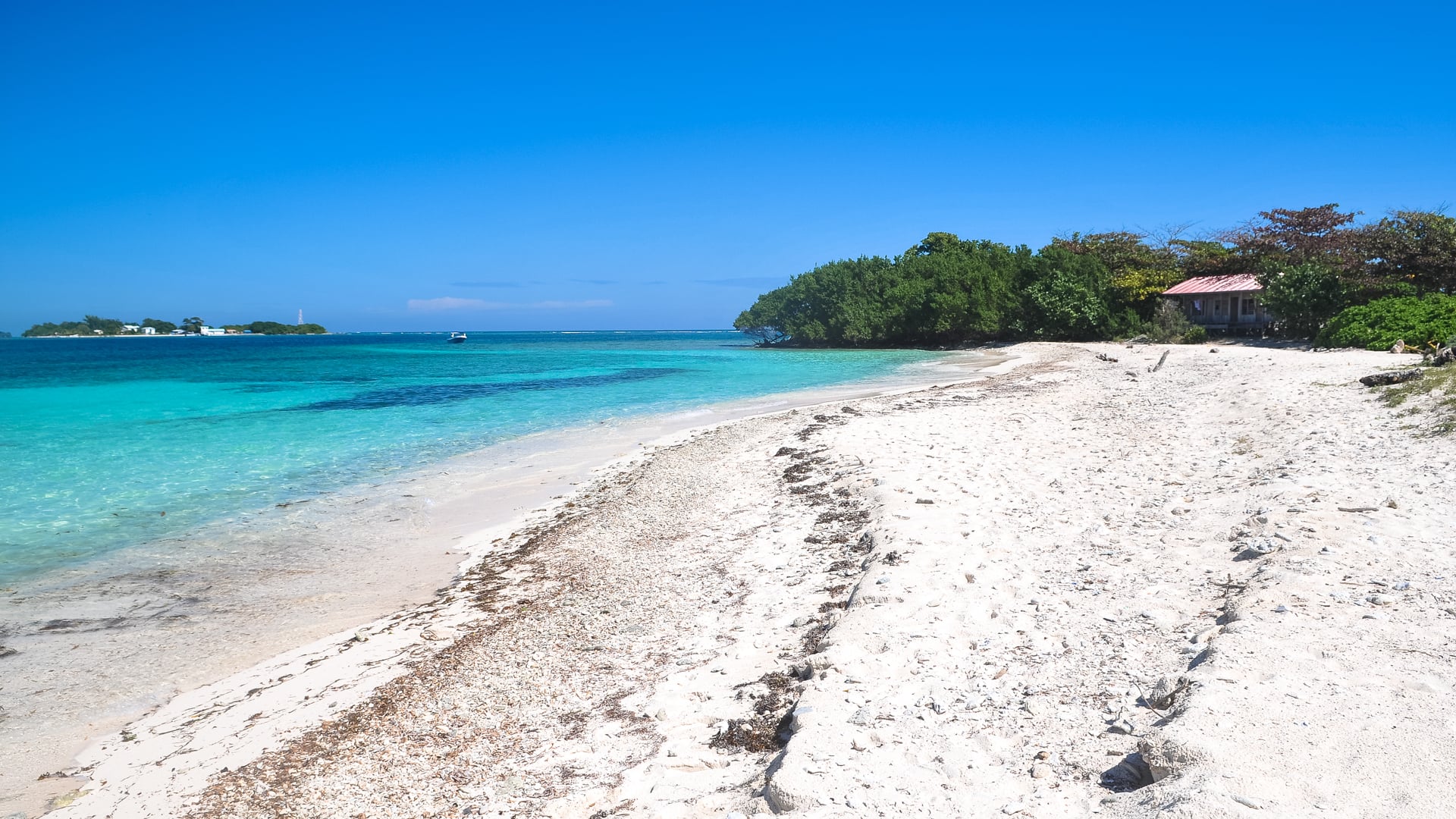 Lime Caye Sapodilla Cayes Belize beach