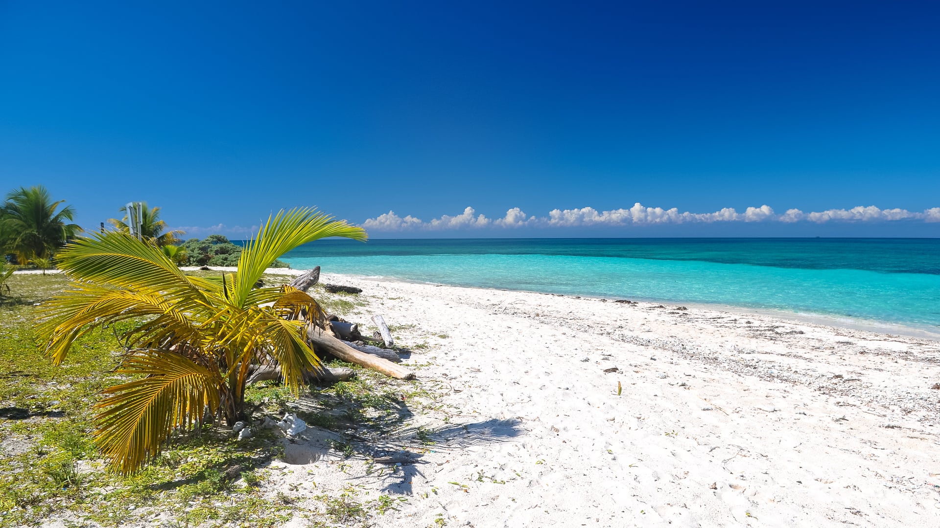 Lime Caye Sapodilla Cayes Belize paradise