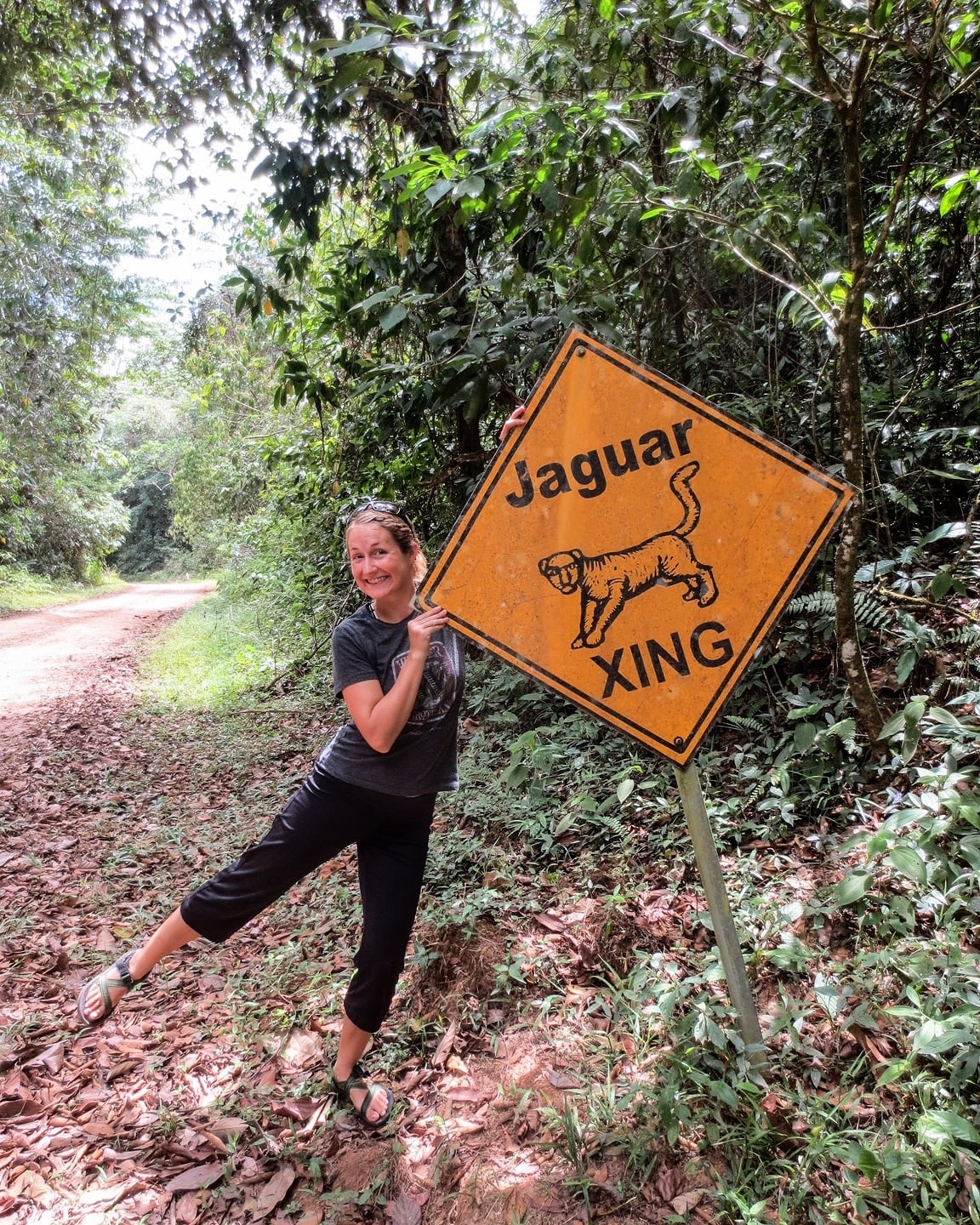 cockscomb basin wildlife sanctuary jaguar crossing