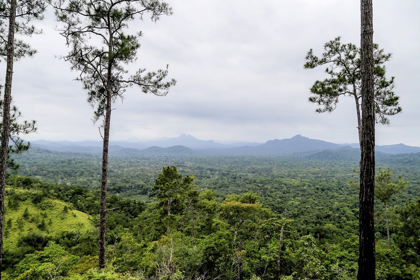 victoria peak belize