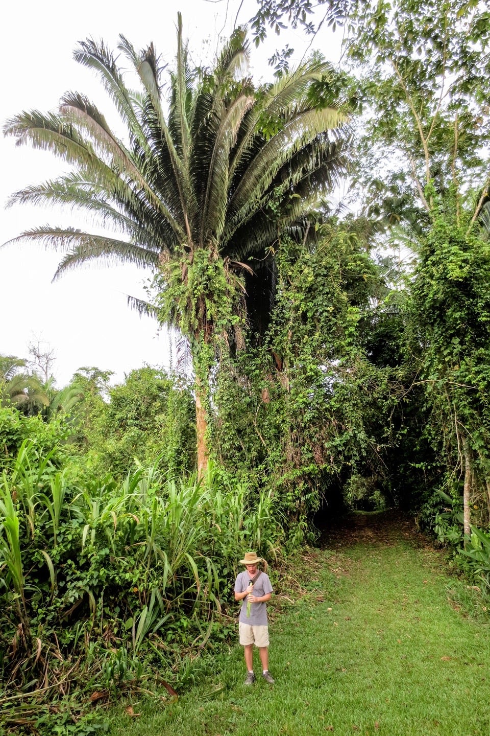 jaguar preserve belize