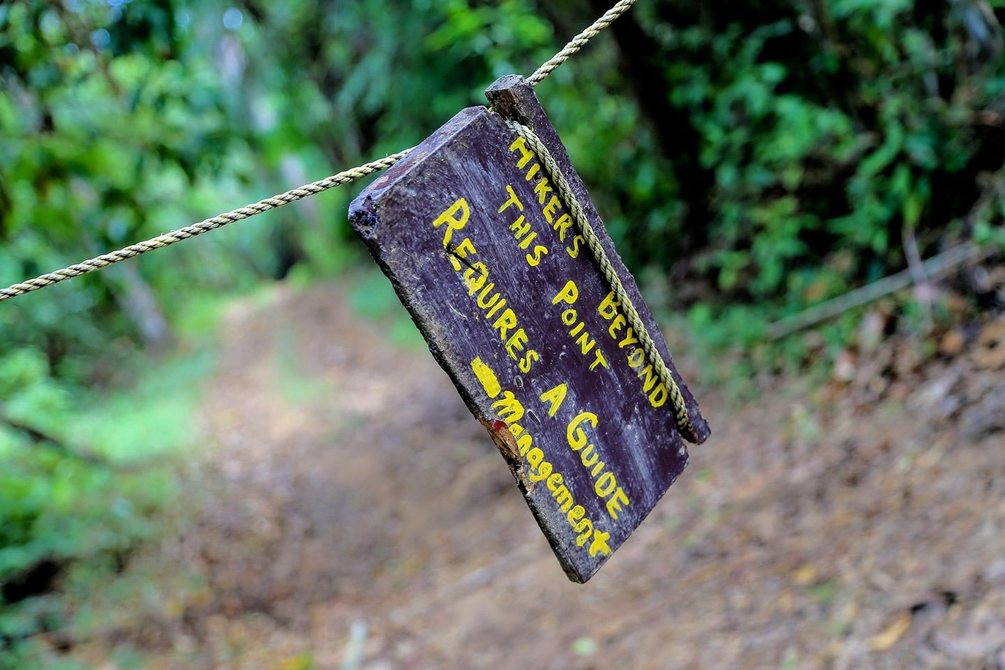 jaguar preserve belize