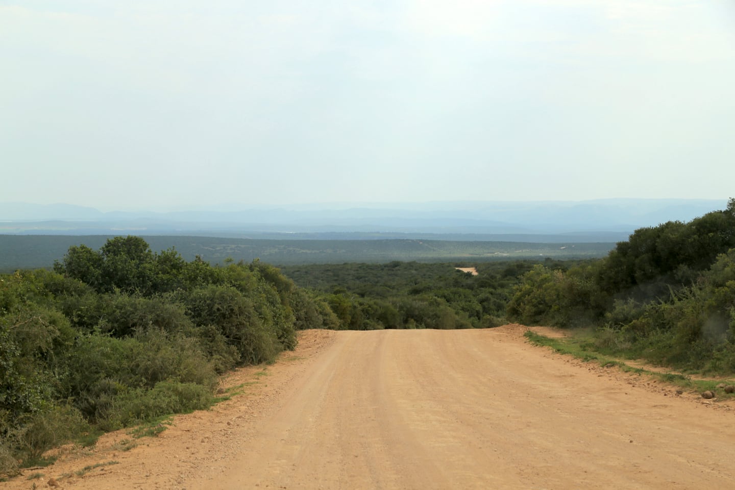 dusty road inside Addo Elephant Park South Africa