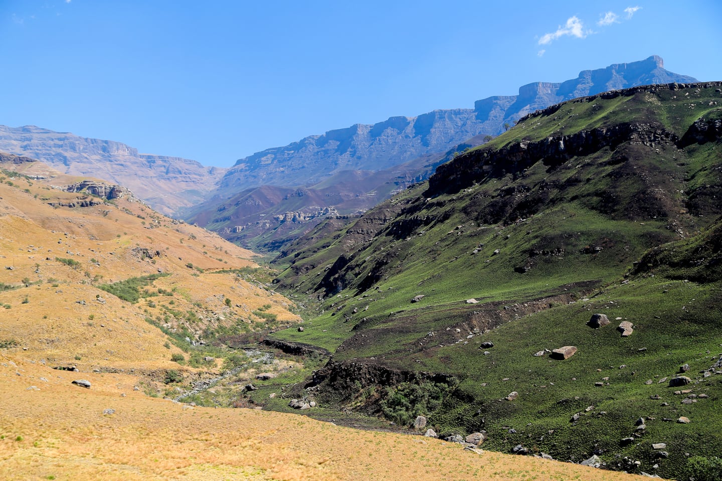 green and brown hillside