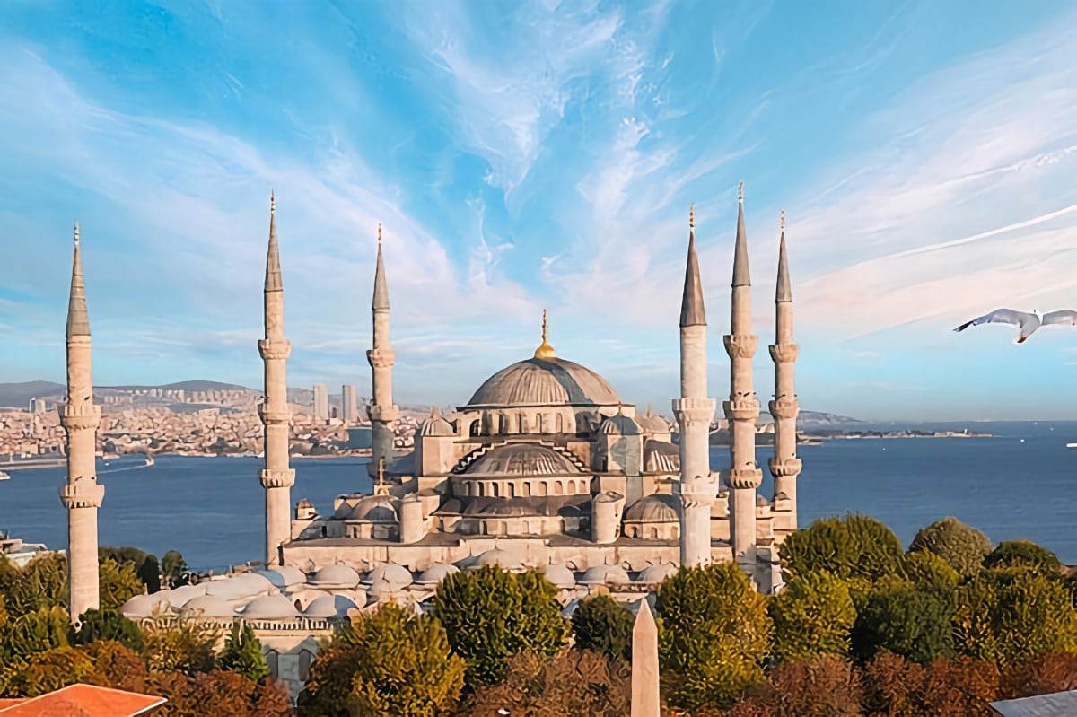 Istanbul city tour and Bosphorus cruise