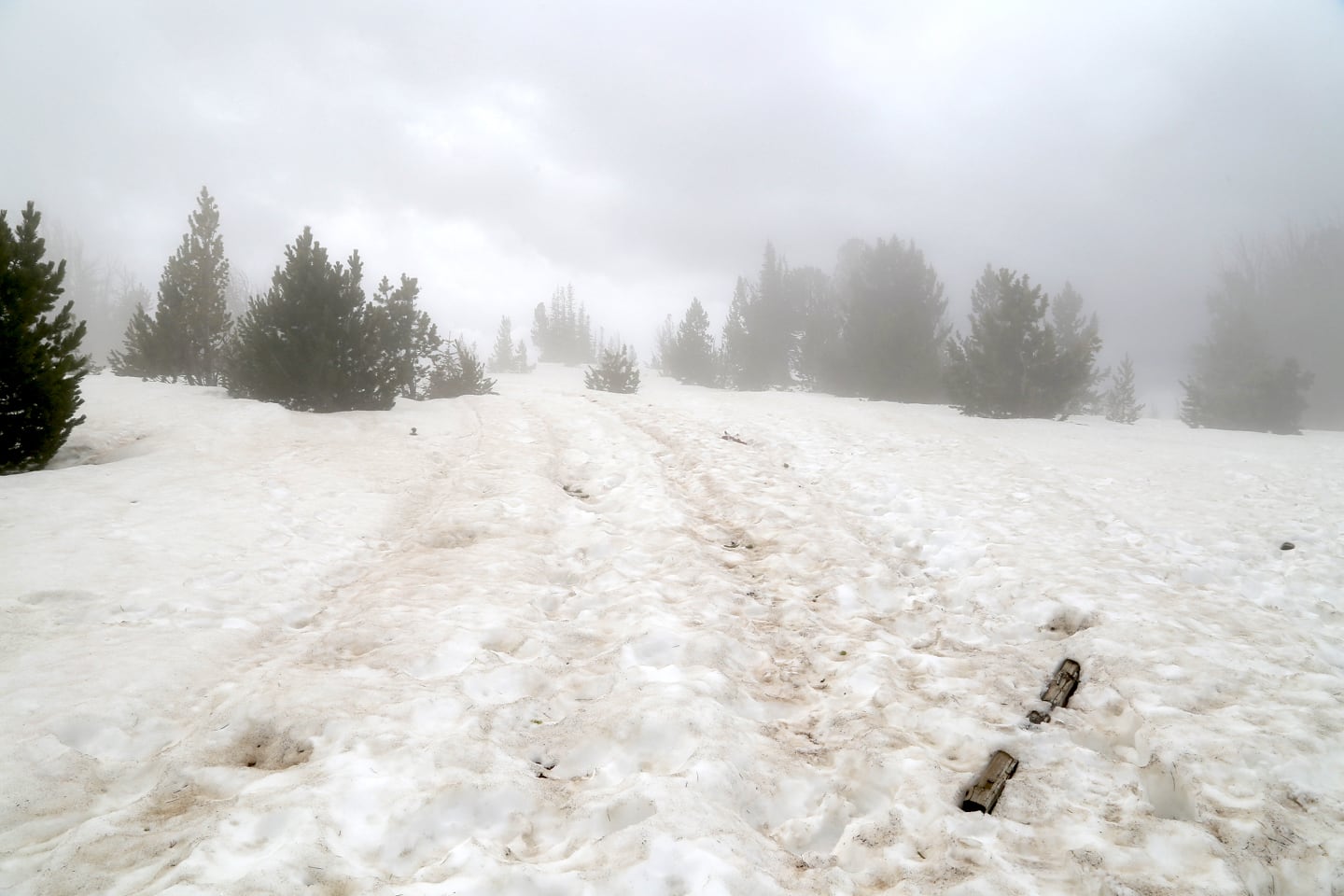 snow on the summit of Mt Howard Wallowa Lake Tramway