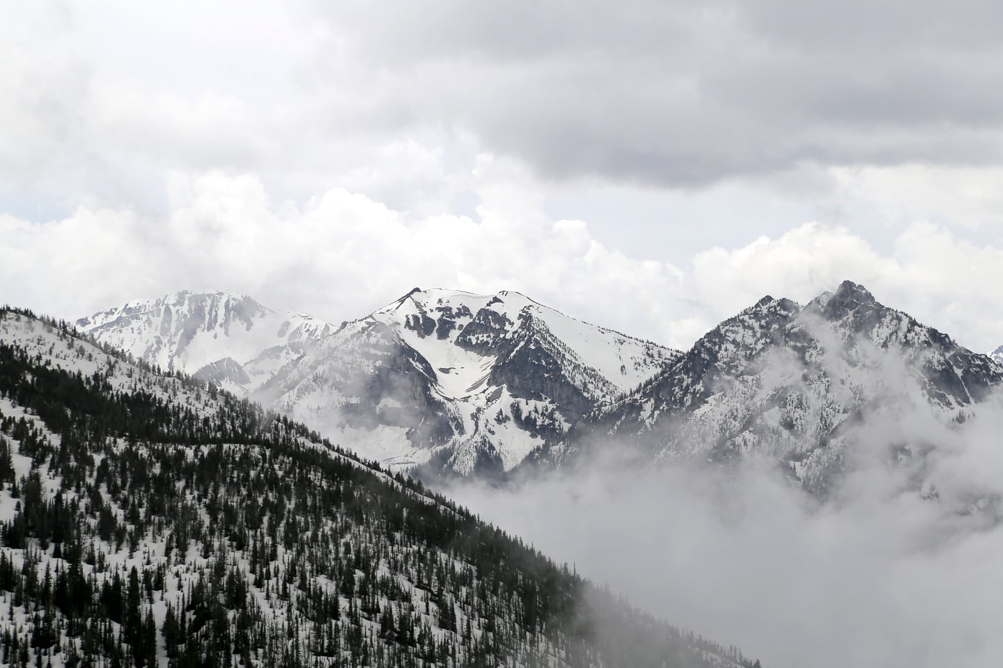 Mt Howard summit view