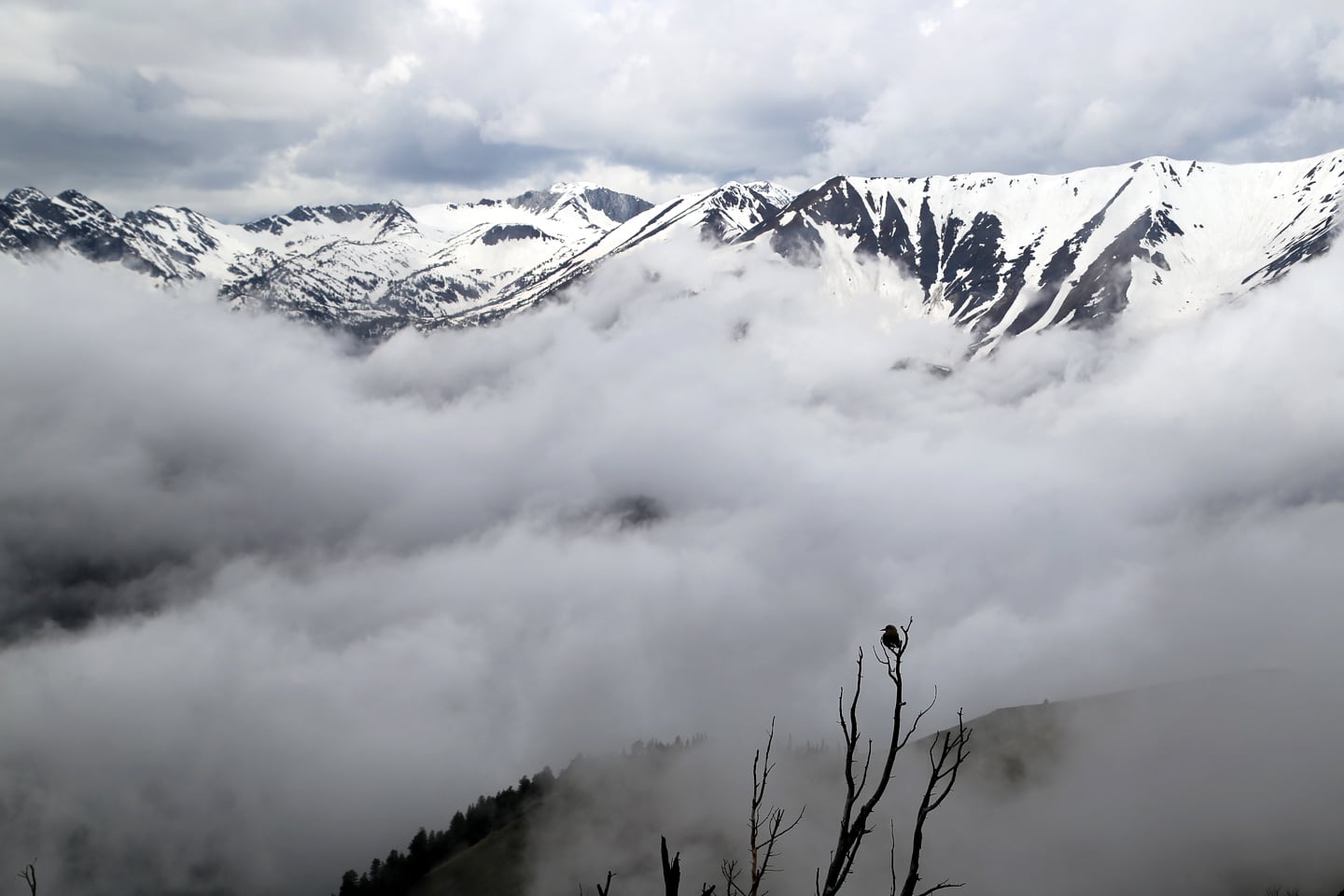 Mt Howard Wallowa Mountains view