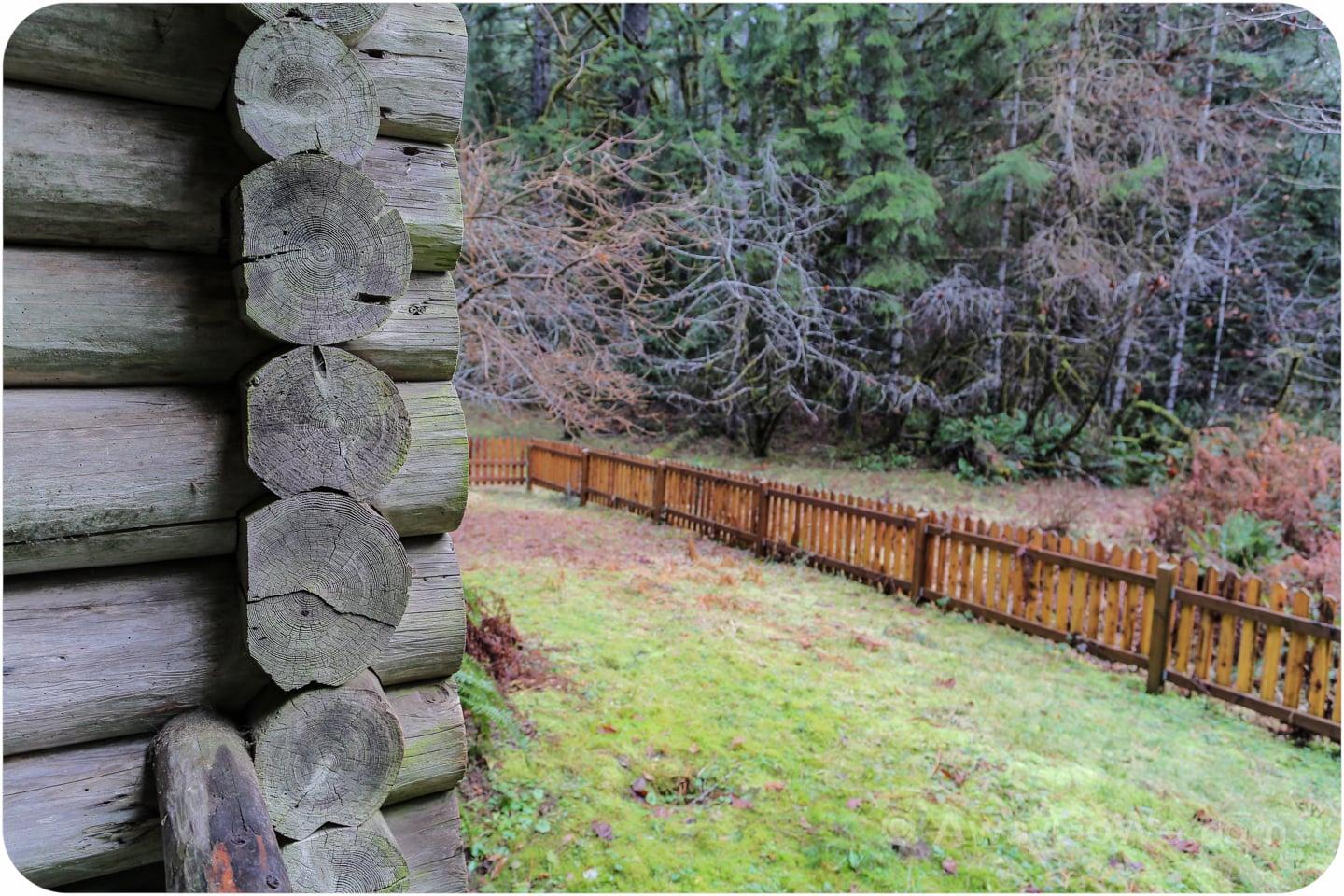 log cabin and grass