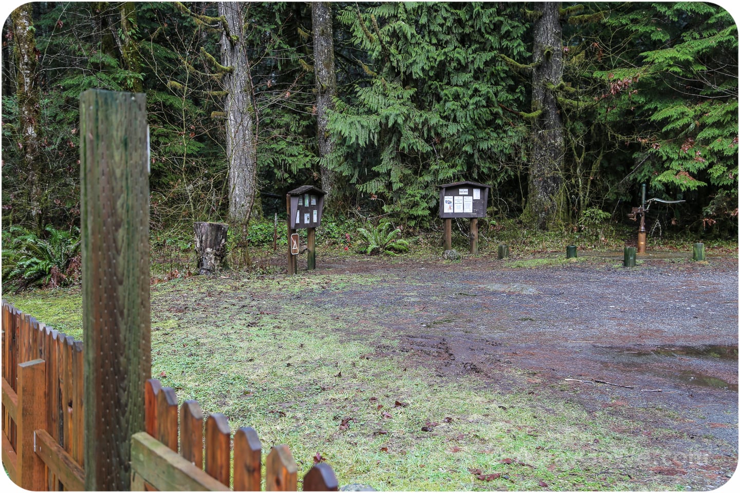 trailhead in Olympic National Forest