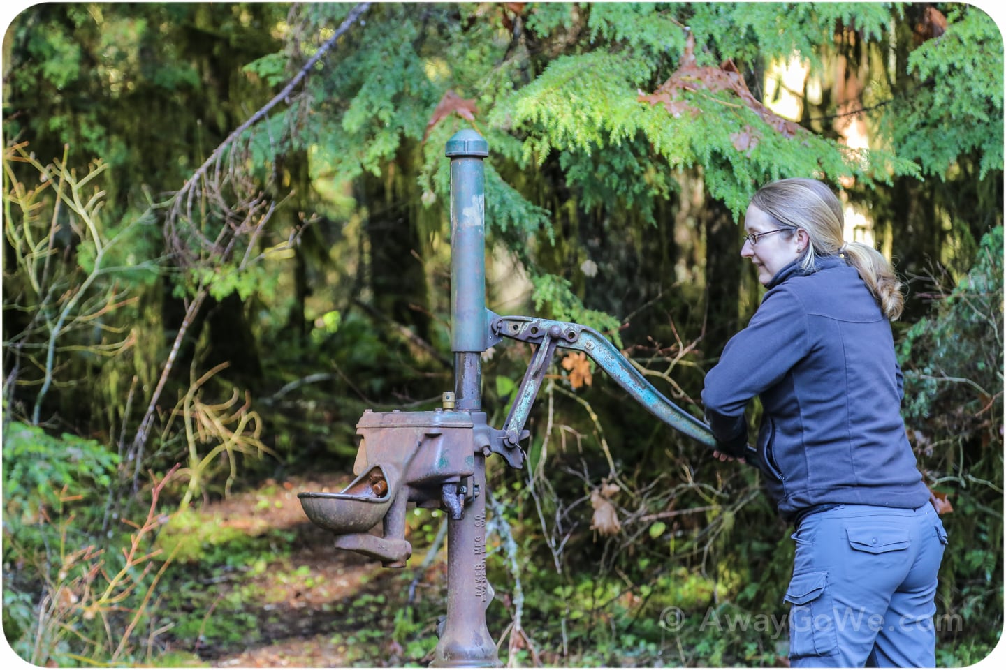 interrorem cabin olympic national park water hand pump