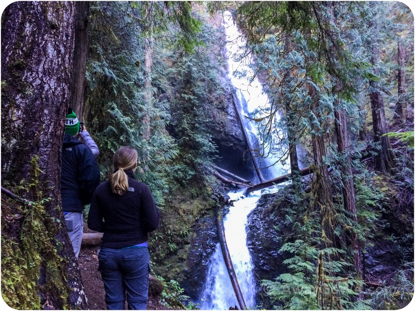 waterfall of Duckabush River