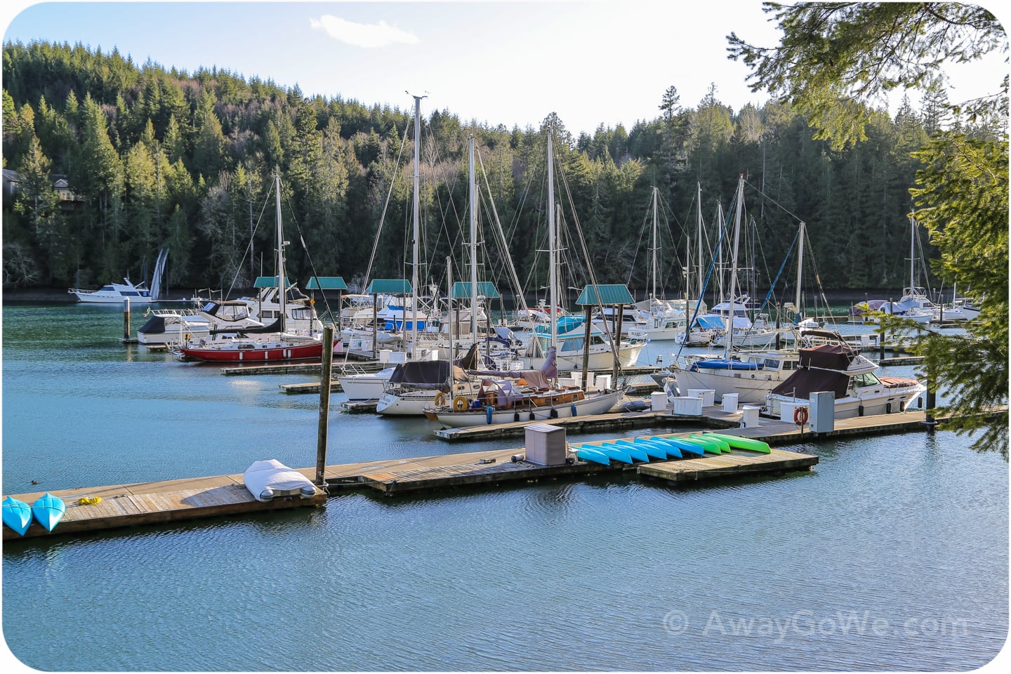 sailboats in small marina