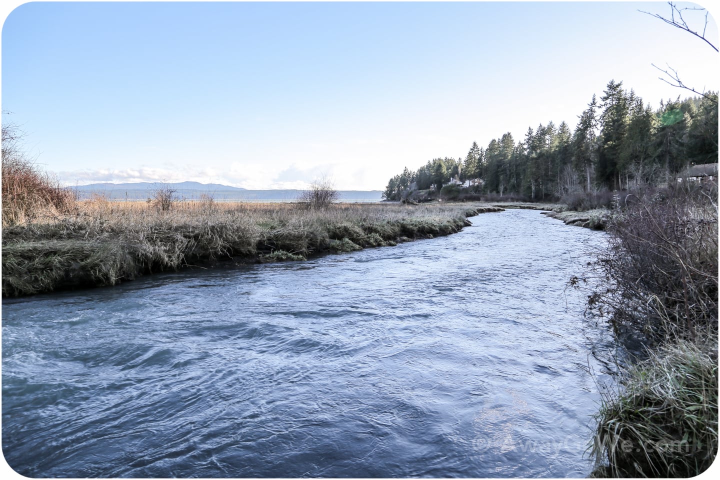 Dosewallips State Park