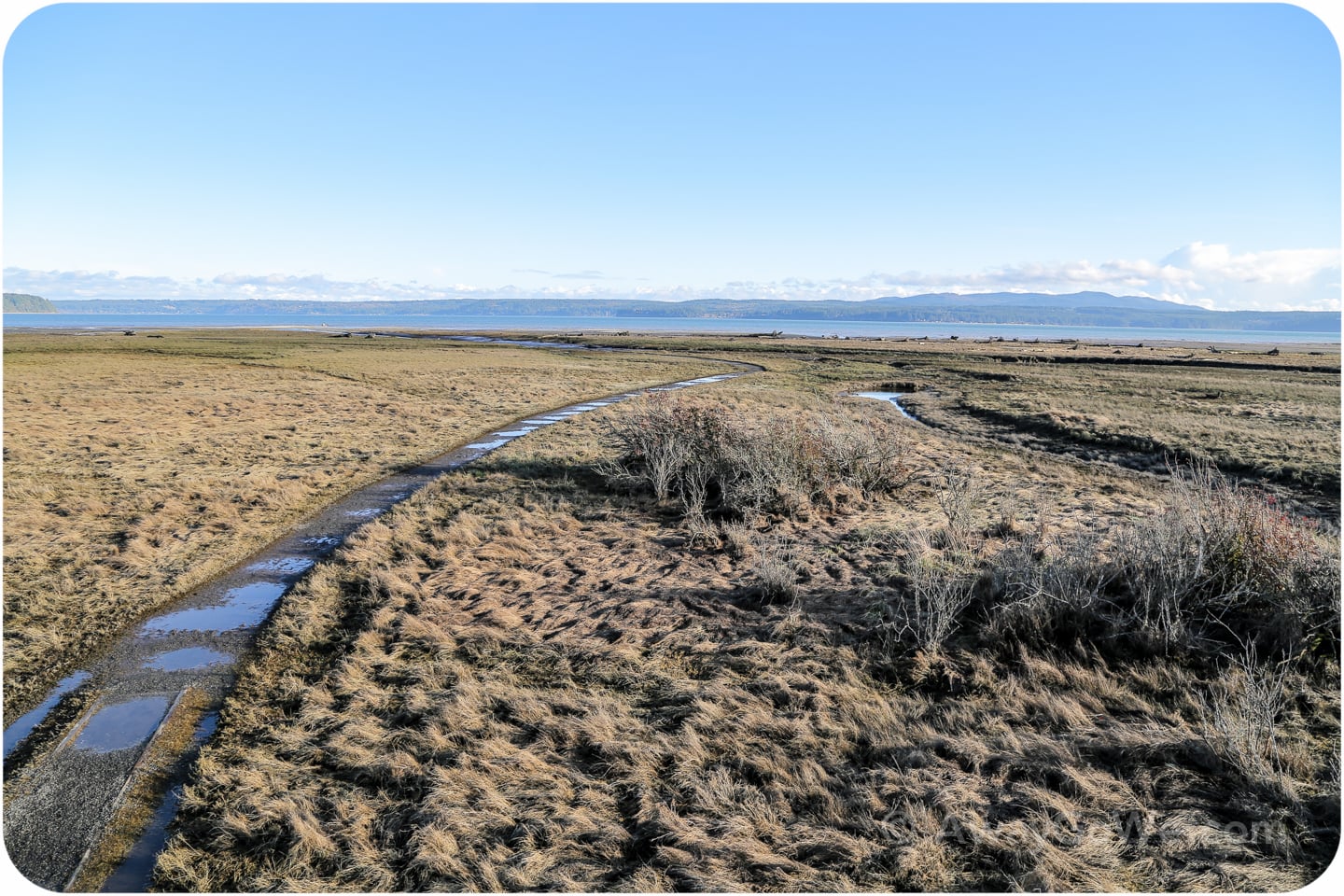 Dosewallips State Park trail