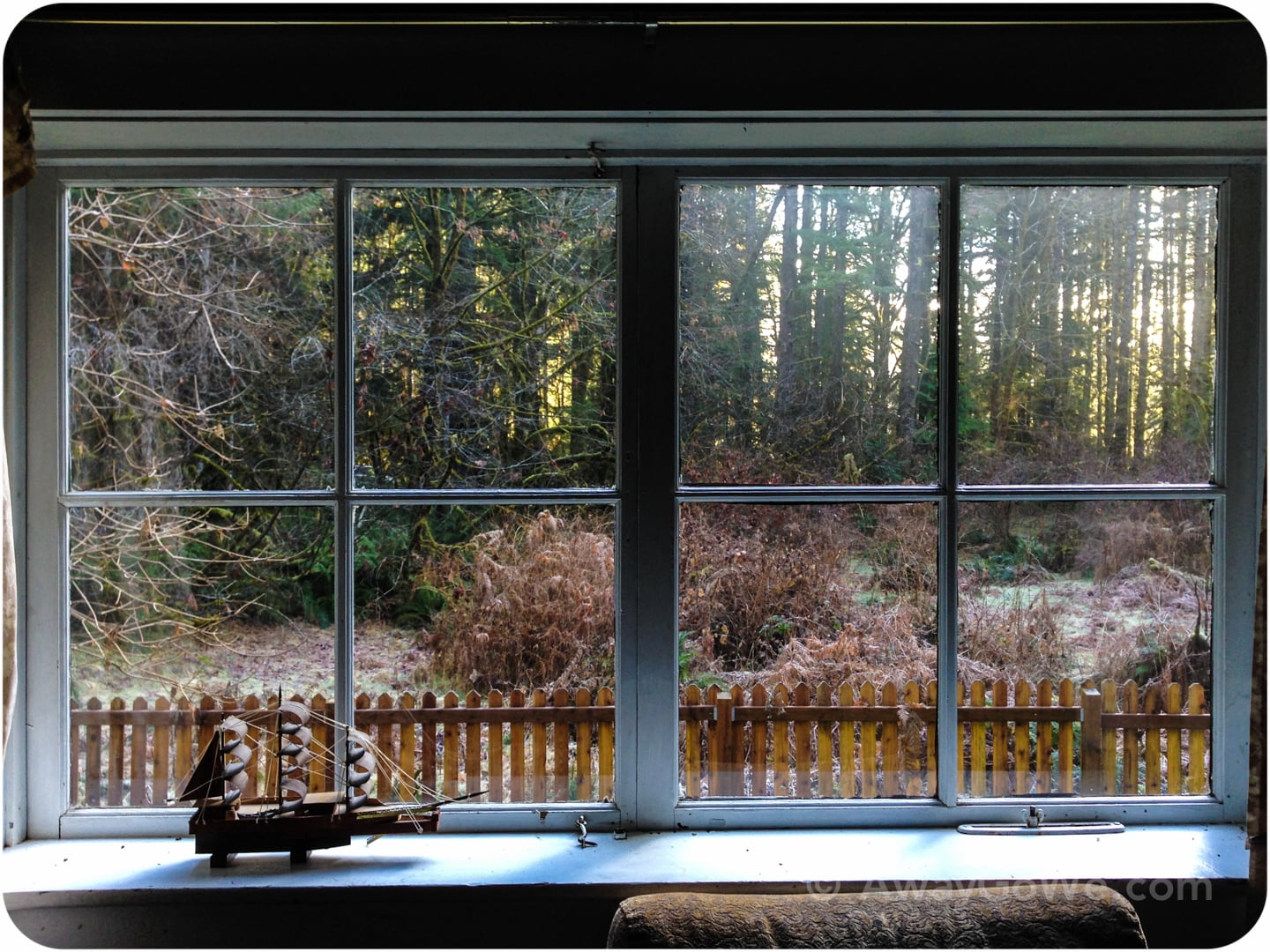 interrorem cabin olympic national park