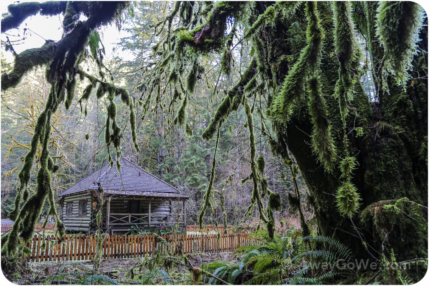 interrorem cabin olympic national park