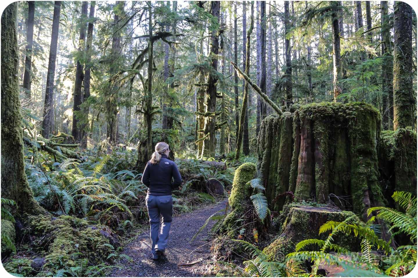 Olympic National Forest Ranger's Hole trail