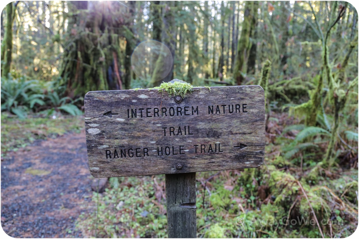 Ranger Hole trail
