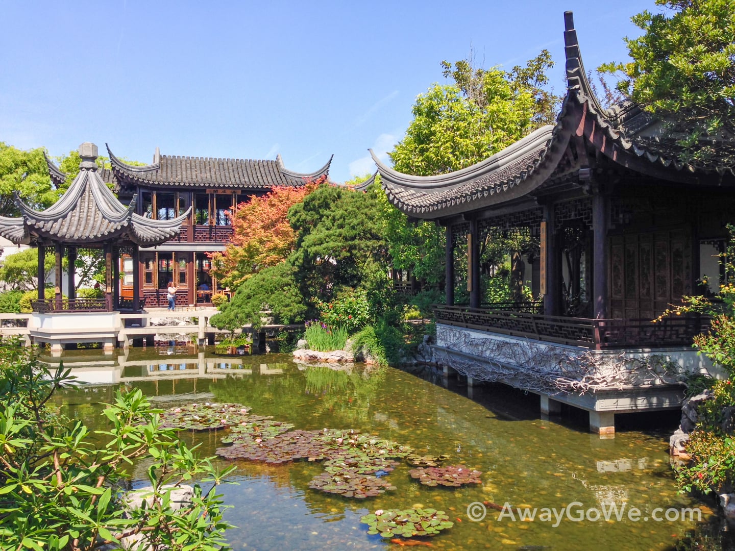 Lan Su Chinese Garden Portland Or Guide For Visiting